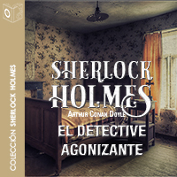 Audiolibro El detective agonizante 